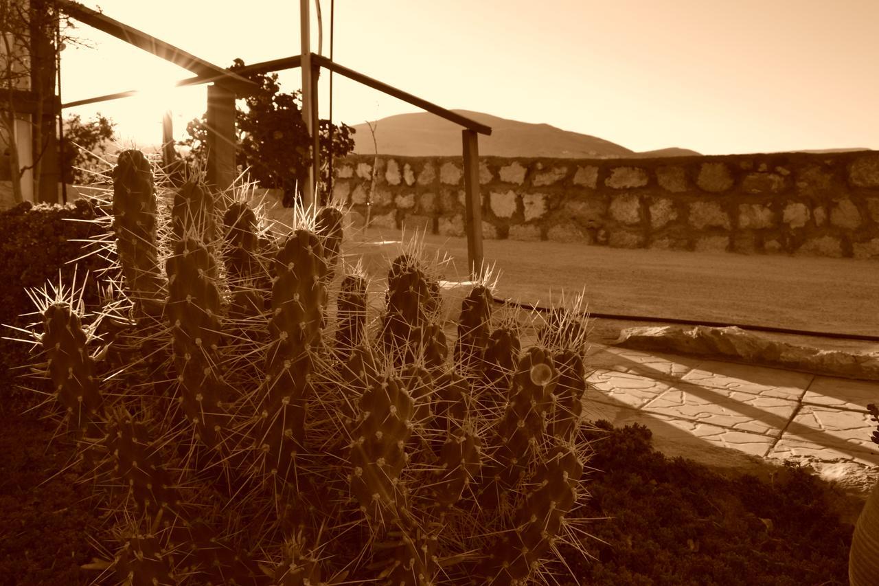 Petra Bed & Breakfast Wadi Musa Exterior photo