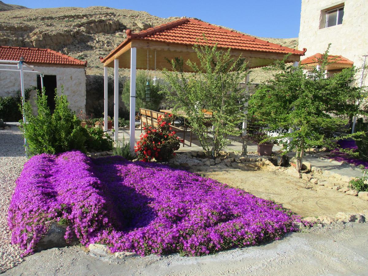 Petra Bed & Breakfast Wadi Musa Exterior photo